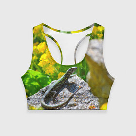 Женский спортивный топ 3D с принтом Ящерица в Тюмени, 82% полиэстер, 18% спандекс Ткань безопасна для здоровья, позволяет коже дышать, не мнется и не растягивается |  | зеленая | поле | природа | ящерица
