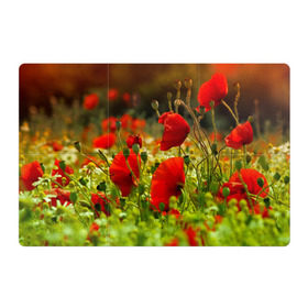 Магнитный плакат 3Х2 с принтом Маки в Тюмени, Полимерный материал с магнитным слоем | 6 деталей размером 9*9 см | Тематика изображения на принте: field | flowers | meadow | nature | poppies | poppy | red | summer | wild | красные | лето | луг | мак | маки | поле | полевые | природа | цветы
