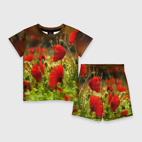 Детский костюм с шортами 3D с принтом Маки в Тюмени,  |  | field | flowers | meadow | nature | poppies | poppy | red | summer | wild | красные | лето | луг | мак | маки | поле | полевые | природа | цветы