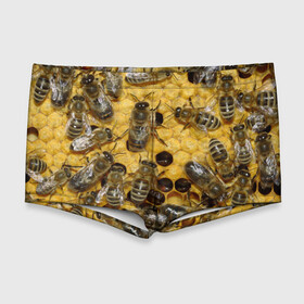 Мужские купальные плавки 3D с принтом Пчела в Тюмени, Полиэстер 85%, Спандекс 15% |  | лето | мед | насекомые | оса | природа | пчелы | шмель