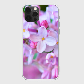 Чехол для iPhone 12 Pro Max с принтом Сирень в Тюмени, Силикон |  | лепестки | прикольные картинки | цветочки | цветы