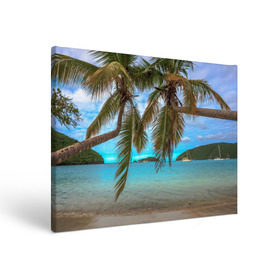 Холст прямоугольный с принтом Пальма в Тюмени, 100% ПВХ |  | море | отдых | отпуск | пальмы | пляж | солнце | туризм