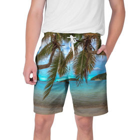Мужские шорты 3D с принтом Пальма в Тюмени,  полиэстер 100% | прямой крой, два кармана без застежек по бокам. Мягкая трикотажная резинка на поясе, внутри которой широкие завязки. Длина чуть выше колен | Тематика изображения на принте: море | отдых | отпуск | пальмы | пляж | солнце | туризм