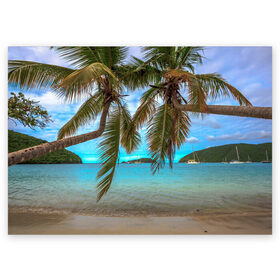 Поздравительная открытка с принтом Пальма в Тюмени, 100% бумага | плотность бумаги 280 г/м2, матовая, на обратной стороне линовка и место для марки
 | Тематика изображения на принте: море | отдых | отпуск | пальмы | пляж | солнце | туризм