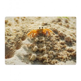 Магнитный плакат 3Х2 с принтом Краб в Тюмени, Полимерный материал с магнитным слоем | 6 деталей размером 9*9 см | море | отпуск | песок | пляж | солнце | туризм
