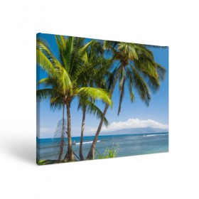 Холст прямоугольный с принтом Пальмы в Тюмени, 100% ПВХ |  | море | отдых | отпуск | пальмы | пляж | солнце | туризм