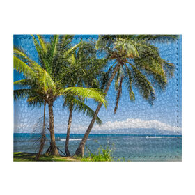 Обложка для студенческого билета с принтом Пальмы в Тюмени, натуральная кожа | Размер: 11*8 см; Печать на всей внешней стороне | Тематика изображения на принте: море | отдых | отпуск | пальмы | пляж | солнце | туризм