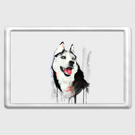 Магнит 45*70 с принтом Хаски в Тюмени, Пластик | Размер: 78*52 мм; Размер печати: 70*45 | голова животного | кутёнок | прикольные картинки | собака | щенок