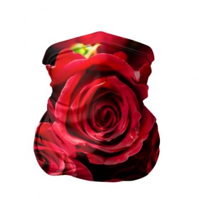 Бандана-труба 3D с принтом Розы в Тюмени, 100% полиэстер, ткань с особыми свойствами — Activecool | плотность 150‒180 г/м2; хорошо тянется, но сохраняет форму | красный | лепестки | прикольные картинки | розы | цветочки | цветы