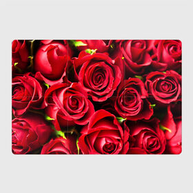 Магнитный плакат 3Х2 с принтом Розы в Тюмени, Полимерный материал с магнитным слоем | 6 деталей размером 9*9 см | Тематика изображения на принте: красный | лепестки | прикольные картинки | розы | цветочки | цветы