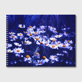 Альбом для рисования с принтом Ромашки в Тюмени, 100% бумага
 | матовая бумага, плотность 200 мг. | лепестки | прикольные картинки | ромашки | цветочки | цветы