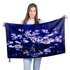 Флаг 3D с принтом Ромашки в Тюмени, 100% полиэстер | плотность ткани — 95 г/м2, размер — 67 х 109 см. Принт наносится с одной стороны | лепестки | прикольные картинки | ромашки | цветочки | цветы