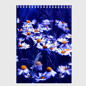 Скетчбук с принтом Ромашки в Тюмени, 100% бумага
 | 48 листов, плотность листов — 100 г/м2, плотность картонной обложки — 250 г/м2. Листы скреплены сверху удобной пружинной спиралью | лепестки | прикольные картинки | ромашки | цветочки | цветы