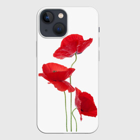 Чехол для iPhone 13 mini с принтом Маки в Тюмени,  |  | field | flowers | poppies | poppy | red | wild | красные | мак | маки | поле | полевые | цветы