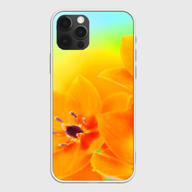 Чехол для iPhone 12 Pro Max с принтом Цветы в Тюмени, Силикон |  | Тематика изображения на принте: лепесток | новая | природа | цветок | яркая