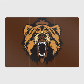 Магнитный плакат 3Х2 с принтом Медведь в Тюмени, Полимерный материал с магнитным слоем | 6 деталей размером 9*9 см | animal | bear | beast | brown | face | fangs | head | taiga | teeth | wild | бурый | голова | дикий | животное | зверь | клыки | медведь | оскал | тайга