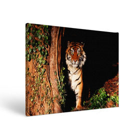 Холст прямоугольный с принтом Тигр в Тюмени, 100% ПВХ |  | Тематика изображения на принте: дикая кошка | лес | природа | тигр | хищник