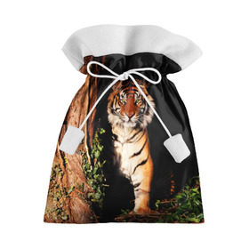 Подарочный 3D мешок с принтом Тигр в Тюмени, 100% полиэстер | Размер: 29*39 см | дикая кошка | лес | природа | тигр | хищник