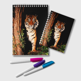 Блокнот с принтом Тигр в Тюмени, 100% бумага | 48 листов, плотность листов — 60 г/м2, плотность картонной обложки — 250 г/м2. Листы скреплены удобной пружинной спиралью. Цвет линий — светло-серый
 | Тематика изображения на принте: дикая кошка | лес | природа | тигр | хищник