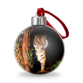 Ёлочный шар с принтом Тигр в Тюмени, Пластик | Диаметр: 77 мм | Тематика изображения на принте: дикая кошка | лес | природа | тигр | хищник