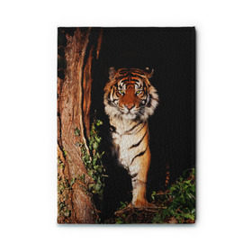 Обложка для автодокументов с принтом Тигр в Тюмени, натуральная кожа |  размер 19,9*13 см; внутри 4 больших “конверта” для документов и один маленький отдел — туда идеально встанут права | дикая кошка | лес | природа | тигр | хищник
