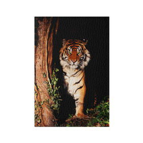 Обложка для паспорта матовая кожа с принтом Тигр в Тюмени, натуральная матовая кожа | размер 19,3 х 13,7 см; прозрачные пластиковые крепления | Тематика изображения на принте: дикая кошка | лес | природа | тигр | хищник