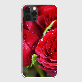 Чехол для iPhone 12 Pro Max с принтом Цветы в Тюмени, Силикон |  | Тематика изображения на принте: бабочки | весна | краски | лето | осень | розы | цветок | цветы