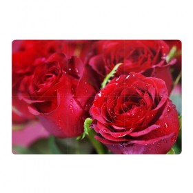 Магнитный плакат 3Х2 с принтом Цветы в Тюмени, Полимерный материал с магнитным слоем | 6 деталей размером 9*9 см | бабочки | весна | краски | лето | осень | розы | цветок | цветы