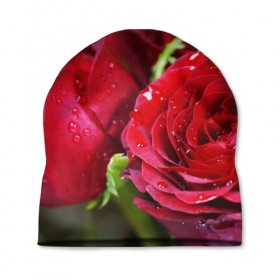 Шапка 3D с принтом Цветы в Тюмени, 100% полиэстер | универсальный размер, печать по всей поверхности изделия | Тематика изображения на принте: бабочки | весна | краски | лето | осень | розы | цветок | цветы