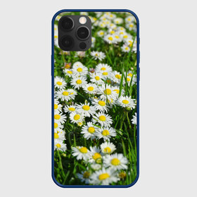 Чехол для iPhone 12 Pro Max с принтом Ромашки 2 в Тюмени, Силикон |  | Тематика изображения на принте: лепестки | прикольные картинки | ромашки | цветочки | цветы