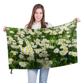 Флаг 3D с принтом Ромашки 2 в Тюмени, 100% полиэстер | плотность ткани — 95 г/м2, размер — 67 х 109 см. Принт наносится с одной стороны | лепестки | прикольные картинки | ромашки | цветочки | цветы