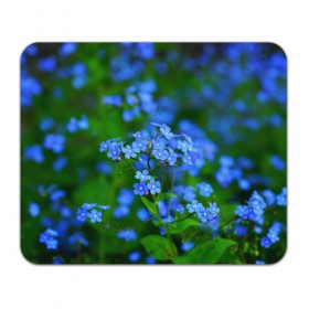 Коврик прямоугольный с принтом Синие цветы в Тюмени, натуральный каучук | размер 230 х 185 мм; запечатка лицевой стороны | лепестки | прикольные картинки | цветочки | цветы