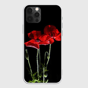 Чехол для iPhone 12 Pro Max с принтом Маки в Тюмени, Силикон |  | Тематика изображения на принте: background | black | flowers | poppies | poppy | red | wild | красные | мак | маки | полевые | фон | цветы | черный