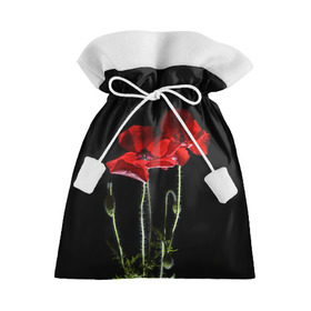Подарочный 3D мешок с принтом Маки в Тюмени, 100% полиэстер | Размер: 29*39 см | Тематика изображения на принте: background | black | flowers | poppies | poppy | red | wild | красные | мак | маки | полевые | фон | цветы | черный