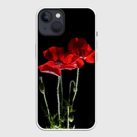 Чехол для iPhone 13 с принтом Маки в Тюмени,  |  | background | black | flowers | poppies | poppy | red | wild | красные | мак | маки | полевые | фон | цветы | черный