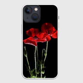 Чехол для iPhone 13 mini с принтом Маки в Тюмени,  |  | background | black | flowers | poppies | poppy | red | wild | красные | мак | маки | полевые | фон | цветы | черный