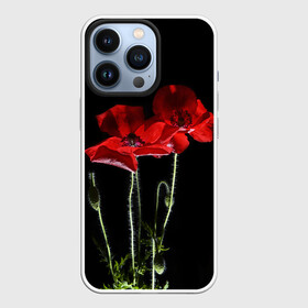 Чехол для iPhone 13 Pro с принтом Маки в Тюмени,  |  | Тематика изображения на принте: background | black | flowers | poppies | poppy | red | wild | красные | мак | маки | полевые | фон | цветы | черный