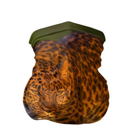 Бандана-труба 3D с принтом Дальневосточный леопард в Тюмени, 100% полиэстер, ткань с особыми свойствами — Activecool | плотность 150‒180 г/м2; хорошо тянется, но сохраняет форму | 