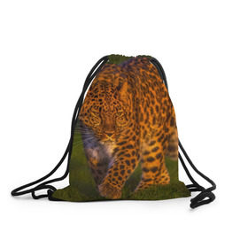 Рюкзак-мешок 3D с принтом Дальневосточный леопард в Тюмени, 100% полиэстер | плотность ткани — 200 г/м2, размер — 35 х 45 см; лямки — толстые шнурки, застежка на шнуровке, без карманов и подкладки | 