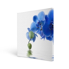 Холст квадратный с принтом Веточка орхидеи в Тюмени, 100% ПВХ |  | ветка | красота | нежность | орхидея | природа | растение | фауна | цветок | цветы