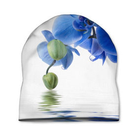 Шапка 3D с принтом Веточка орхидеи в Тюмени, 100% полиэстер | универсальный размер, печать по всей поверхности изделия | ветка | красота | нежность | орхидея | природа | растение | фауна | цветок | цветы