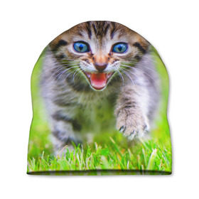 Шапка 3D с принтом Кися в Тюмени, 100% полиэстер | универсальный размер, печать по всей поверхности изделия | Тематика изображения на принте: домашние | животные | кот | котёнок | кошка | милый