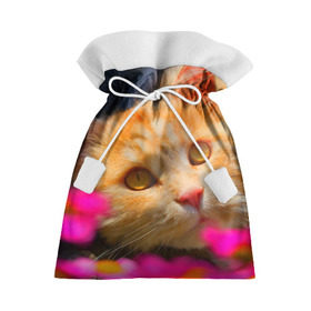 Подарочный 3D мешок с принтом Кошечка в Тюмени, 100% полиэстер | Размер: 29*39 см | животные | кот | кошка | милая | рыжий