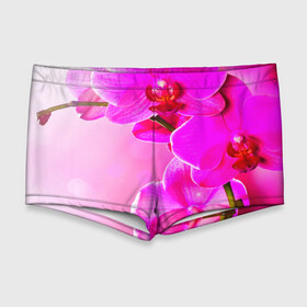 Мужские купальные плавки 3D с принтом Орхидея в Тюмени, Полиэстер 85%, Спандекс 15% |  | лепесток | новая | орхидея | природа | цветок | яркая