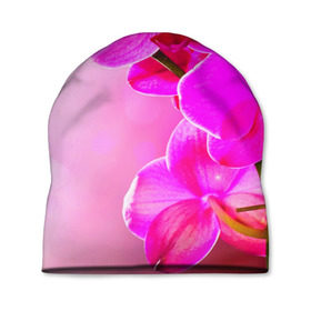 Шапка 3D с принтом Орхидея в Тюмени, 100% полиэстер | универсальный размер, печать по всей поверхности изделия | Тематика изображения на принте: лепесток | новая | орхидея | природа | цветок | яркая