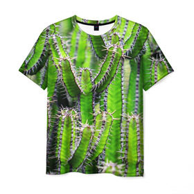 Мужская футболка 3D с принтом Кактус в Тюмени, 100% полиэфир | прямой крой, круглый вырез горловины, длина до линии бедер | кактус | колючки | прикольные картинки | природа | цветочки | цветы