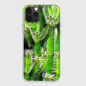 Чехол для iPhone 12 Pro Max Кактус: в Тюмени, Силикон |  | кактус | колючки | прикольные картинки | природа | цветочки | цветы