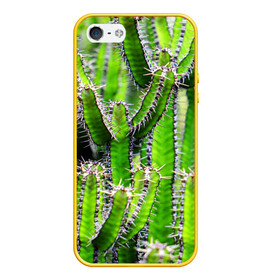 Чехол для iPhone 5/5S матовый с принтом Кактус в Тюмени, Силикон | Область печати: задняя сторона чехла, без боковых панелей | кактус | колючки | прикольные картинки | природа | цветочки | цветы