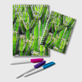 Блокнот с принтом Кактус в Тюмени, 100% бумага | 48 листов, плотность листов — 60 г/м2, плотность картонной обложки — 250 г/м2. Листы скреплены удобной пружинной спиралью. Цвет линий — светло-серый
 | кактус | колючки | прикольные картинки | природа | цветочки | цветы