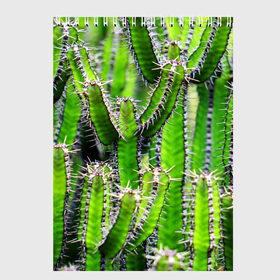 Скетчбук с принтом Кактус в Тюмени, 100% бумага
 | 48 листов, плотность листов — 100 г/м2, плотность картонной обложки — 250 г/м2. Листы скреплены сверху удобной пружинной спиралью | Тематика изображения на принте: кактус | колючки | прикольные картинки | природа | цветочки | цветы